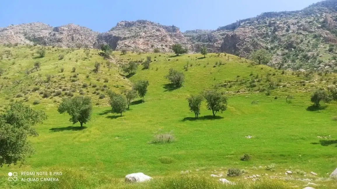 200منر زمین سند دار درب حیاط حاج رمضان