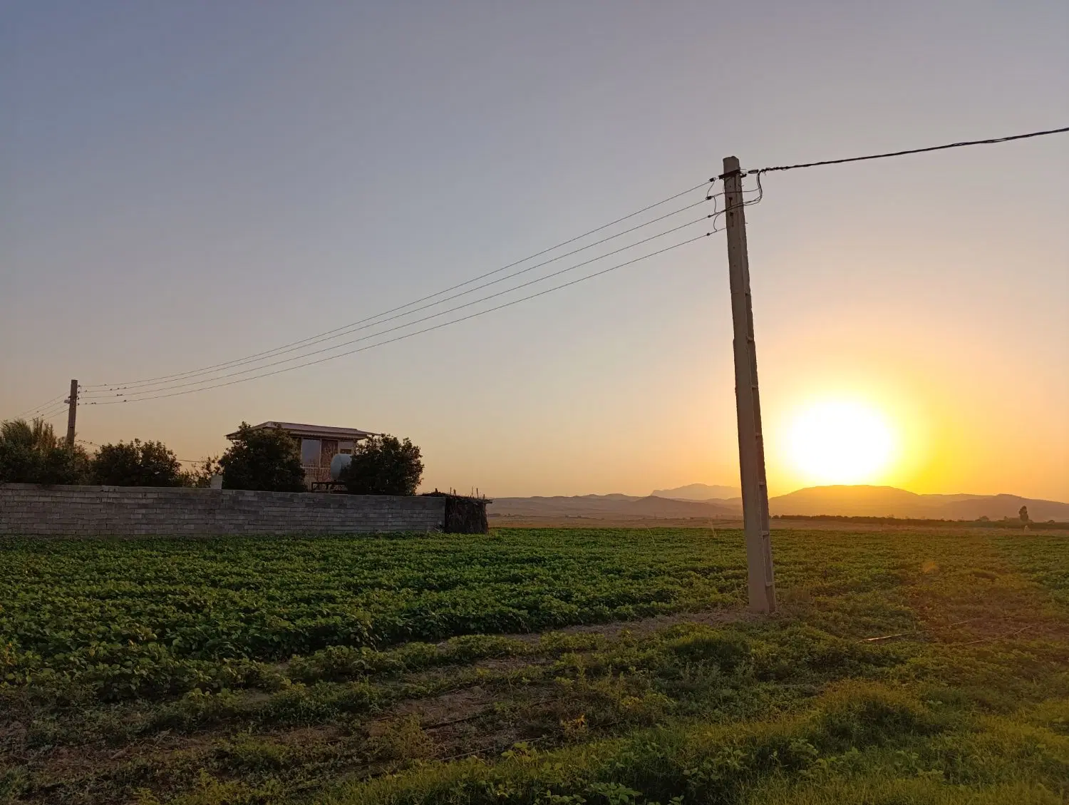 فروش زمین کشاورزی