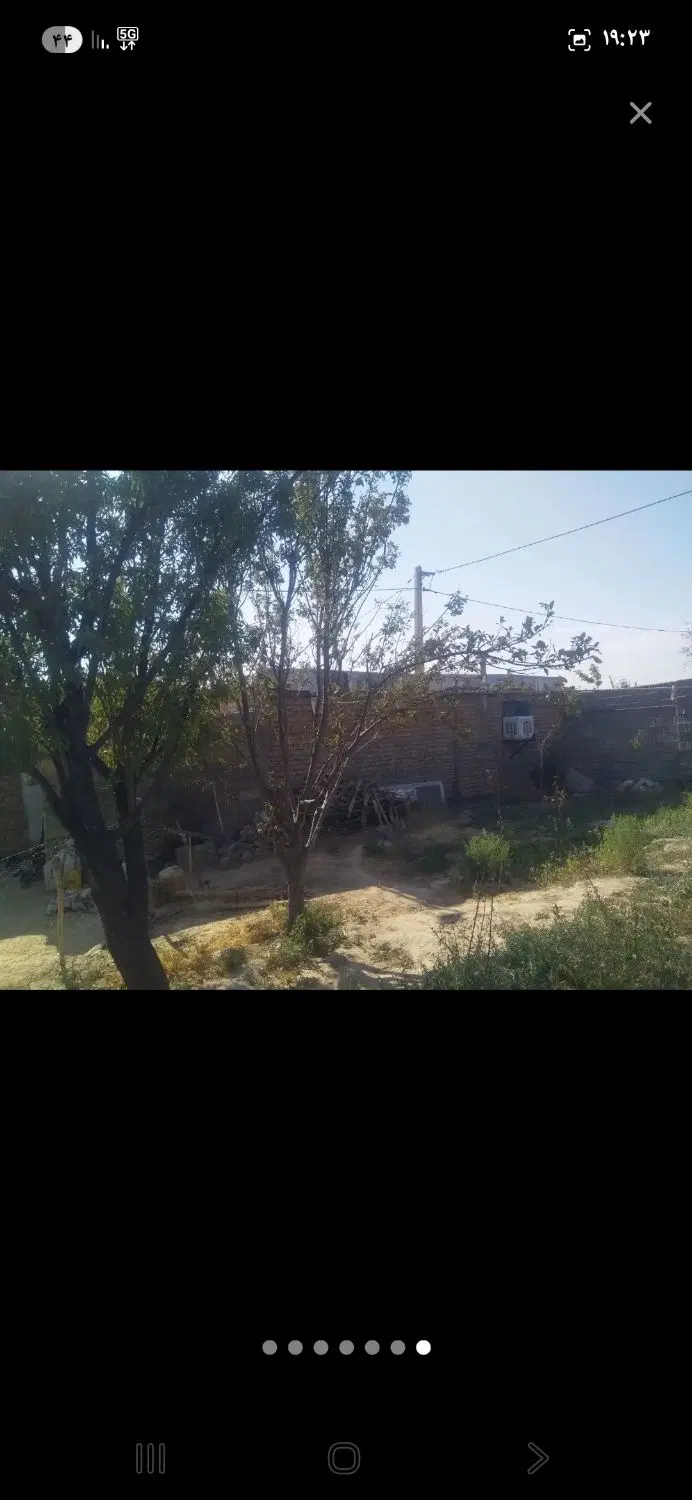 دامداری