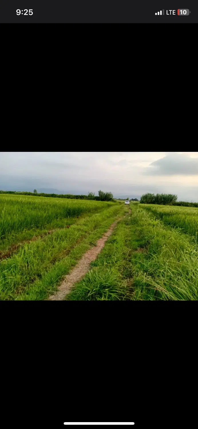 زمین کشاورزی بر اصلی خیابان