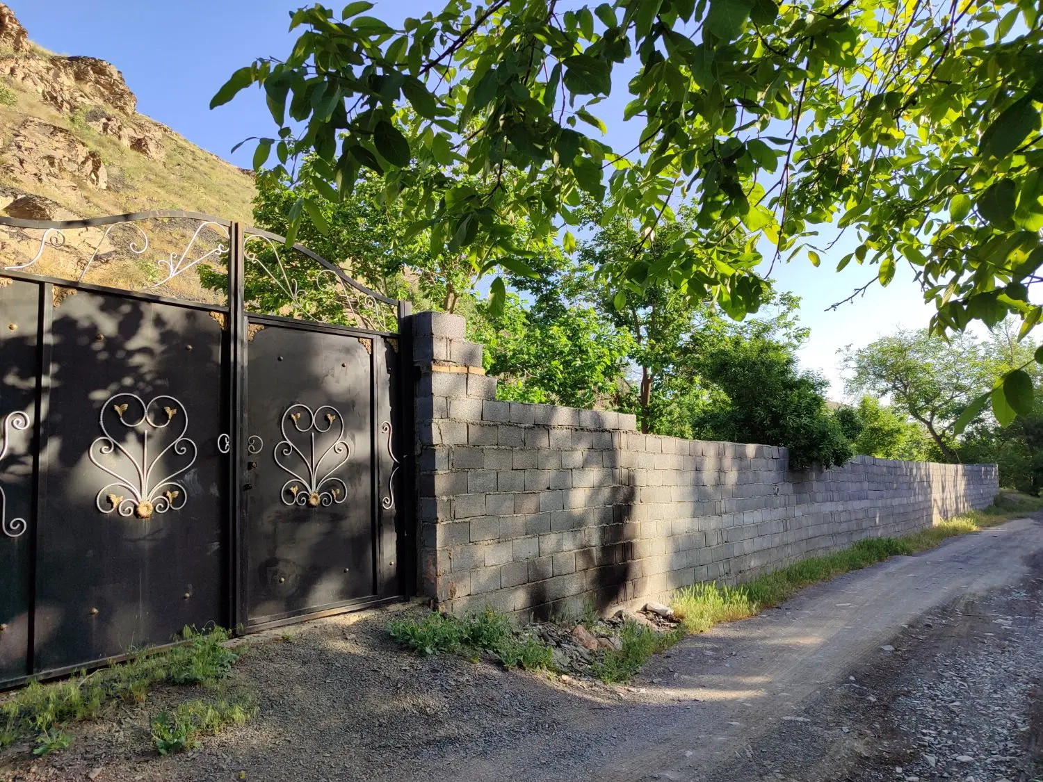 باغ گلمکان .چنار