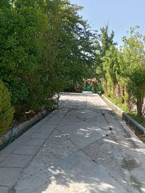باغ تفریحی