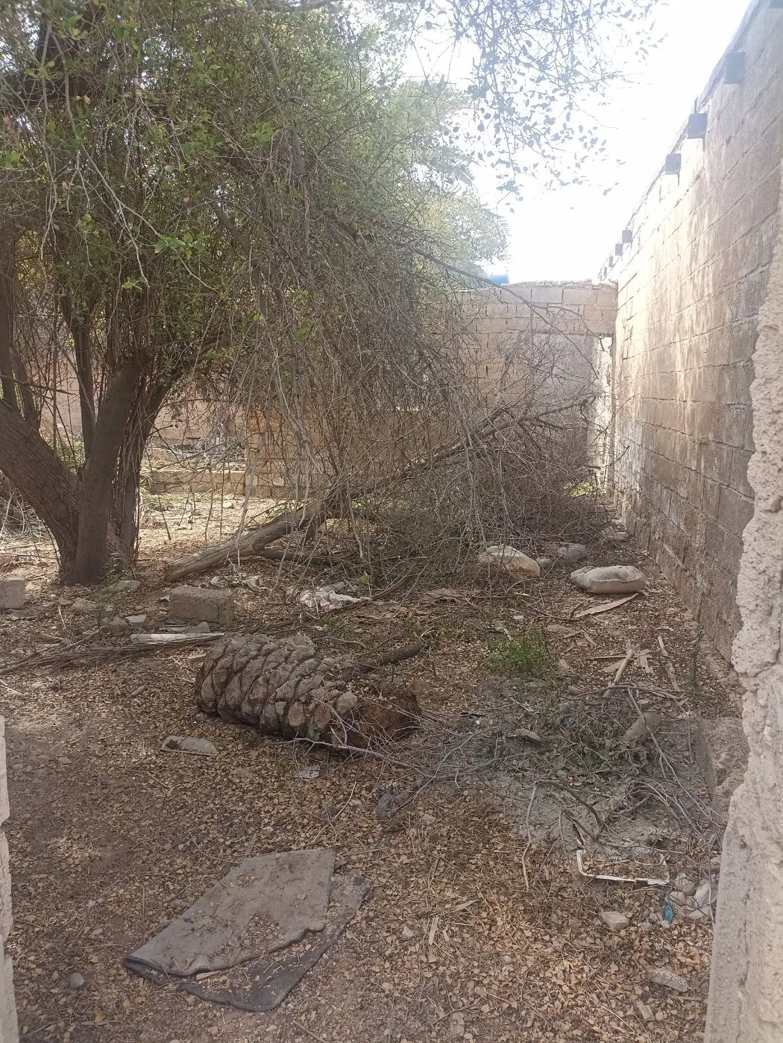 زمین مجنون می‌باشد جنب حسینیه