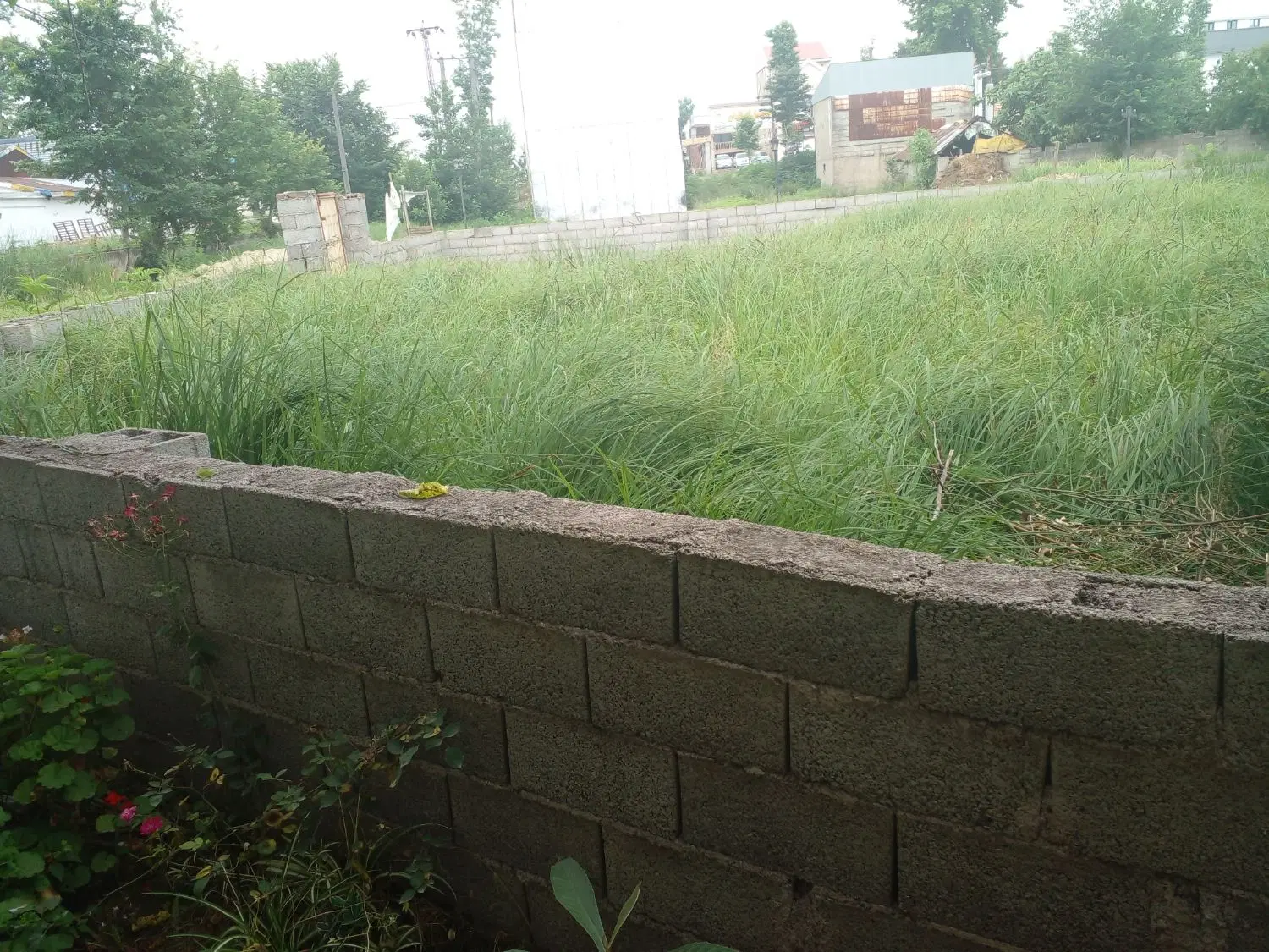 زمین فومن با اب برق گاز۲۶۵