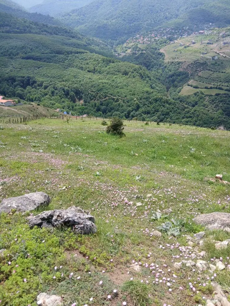 فروش زمین با ویو ابدی