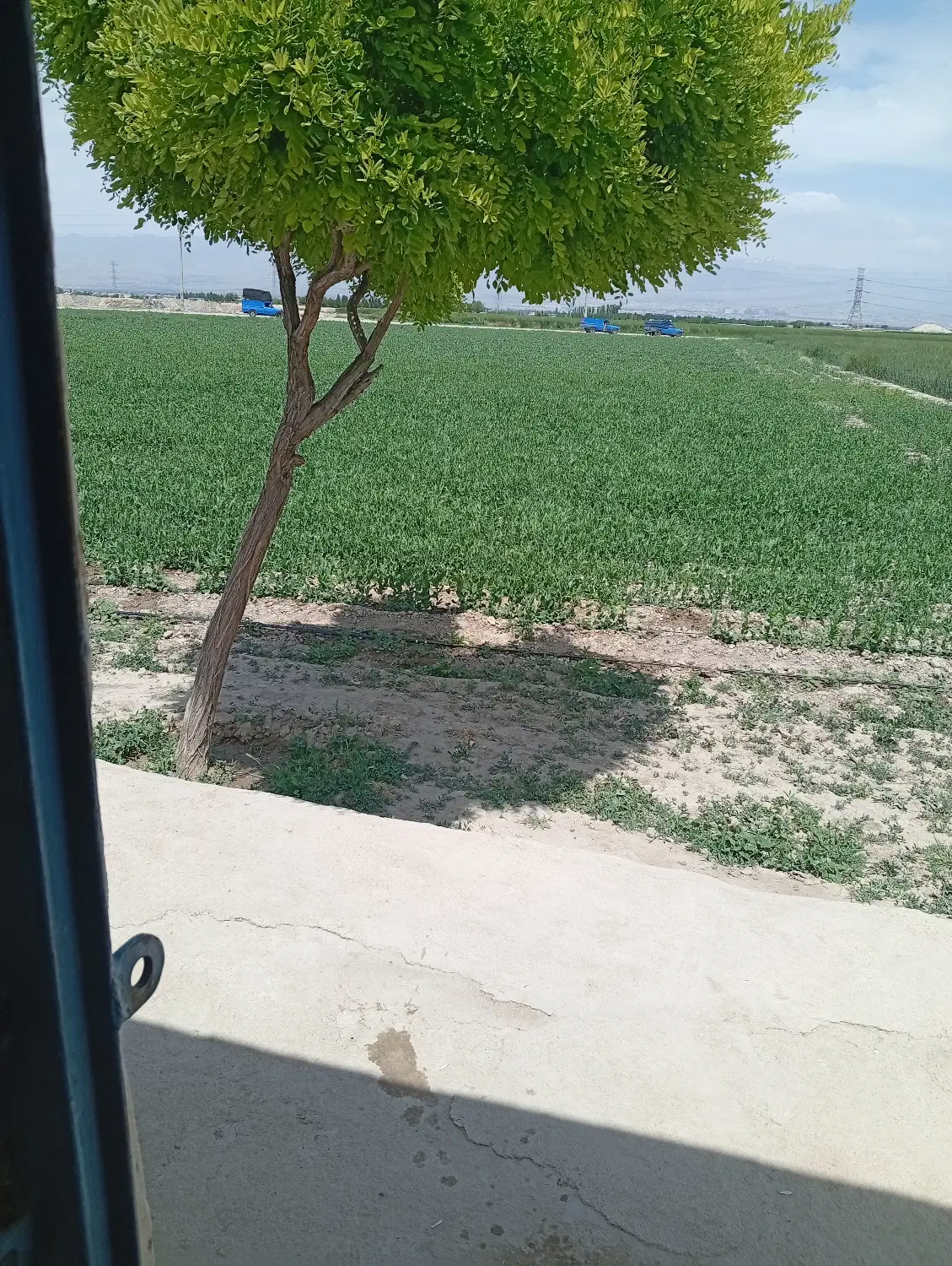 اجاره زمین کشاورزی قطره ای، تنکمان