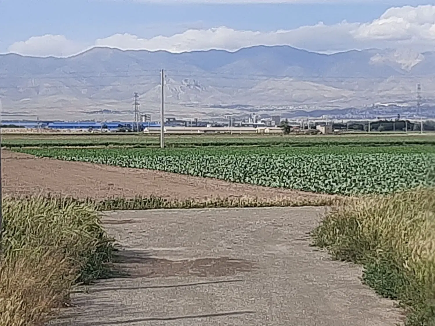 باغچه ۵۰۰ متری در تنکمان فروش یا معاوضه