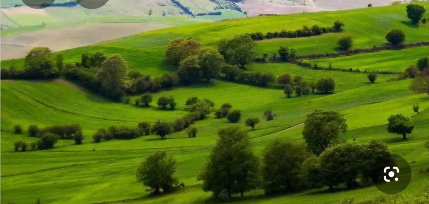 زمین ۱۰۰۰ متری