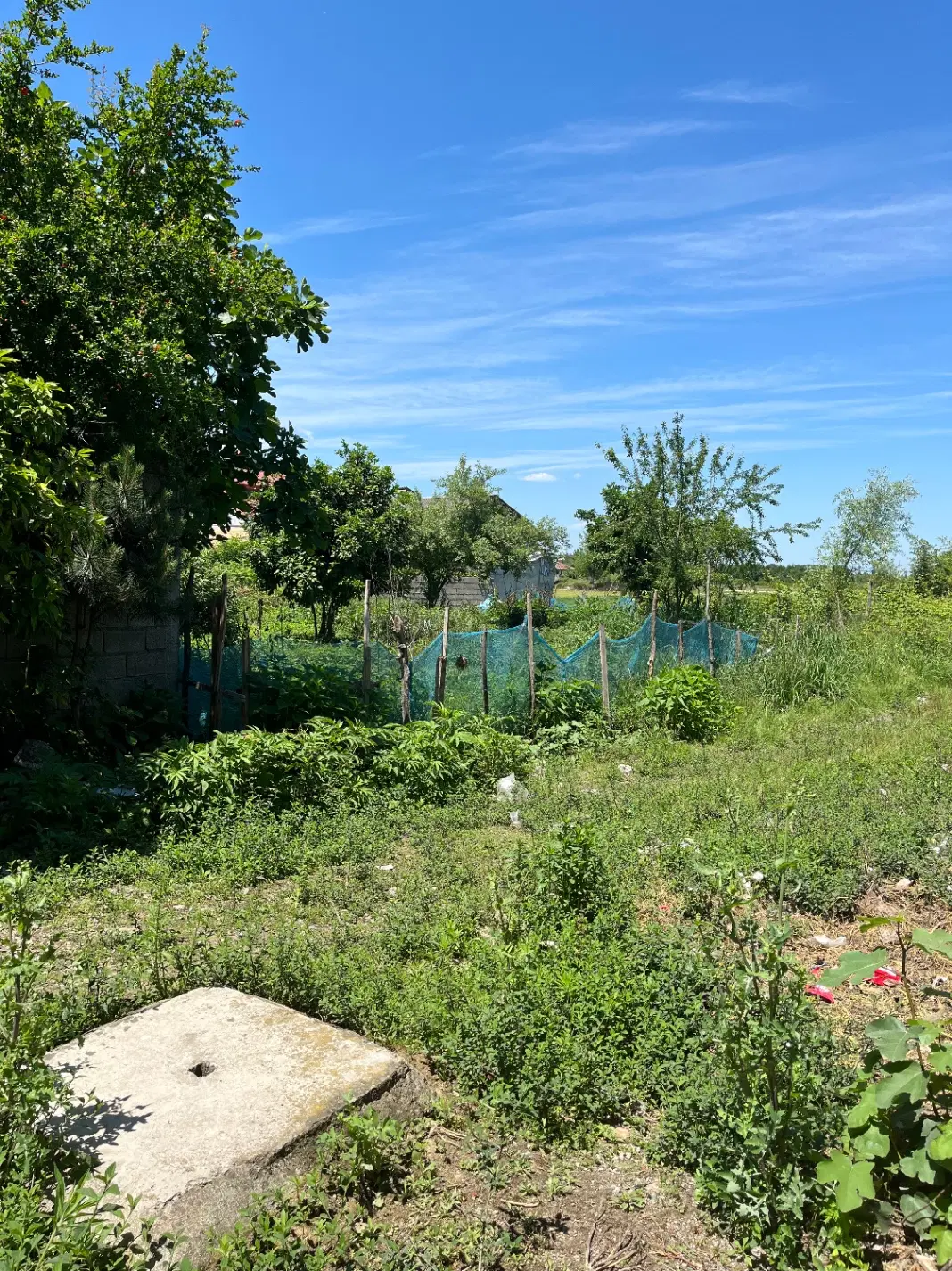 زمینی به مساحت ۳۳۰متردرشهرفومن