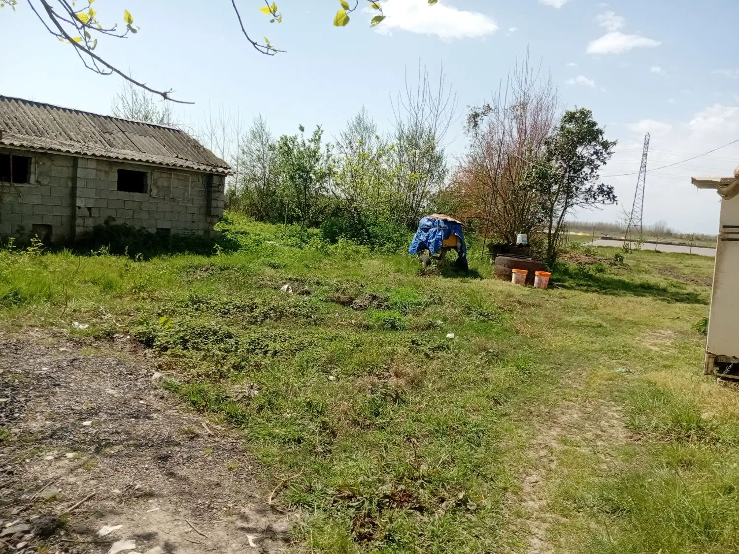 فروش فوق العاده ویلای جنگلی منطقه آزاد
