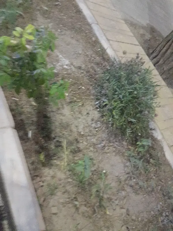 خانه اجاره ای