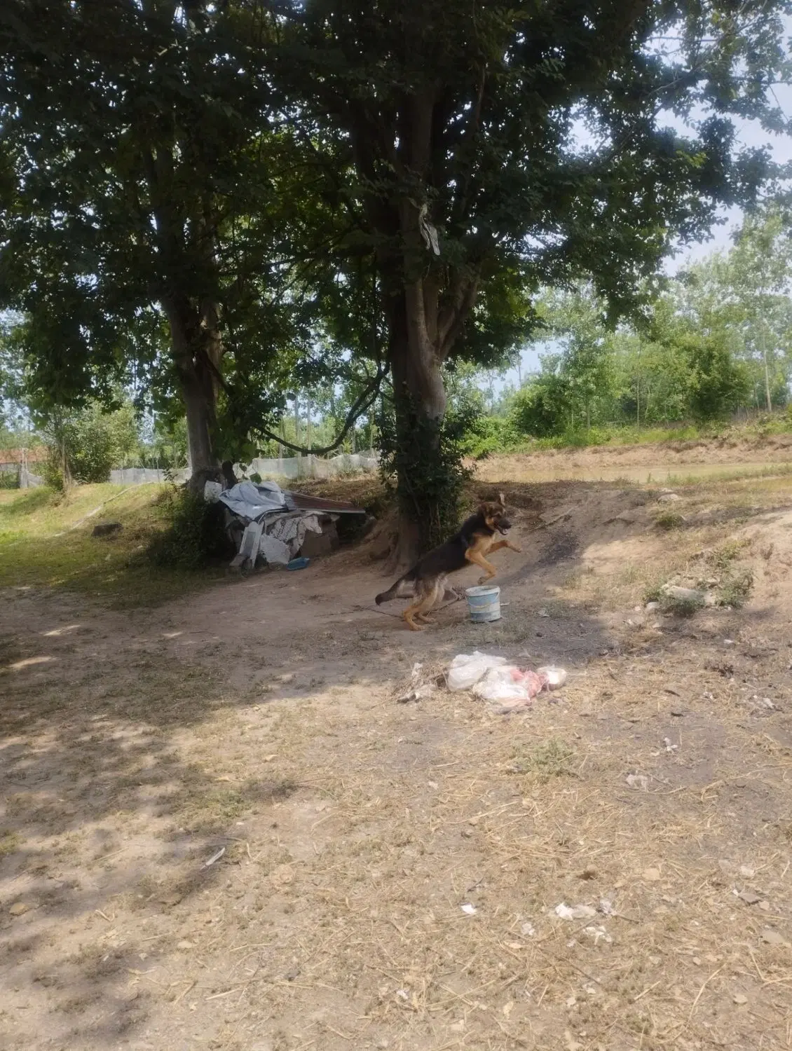 خونه ویلای