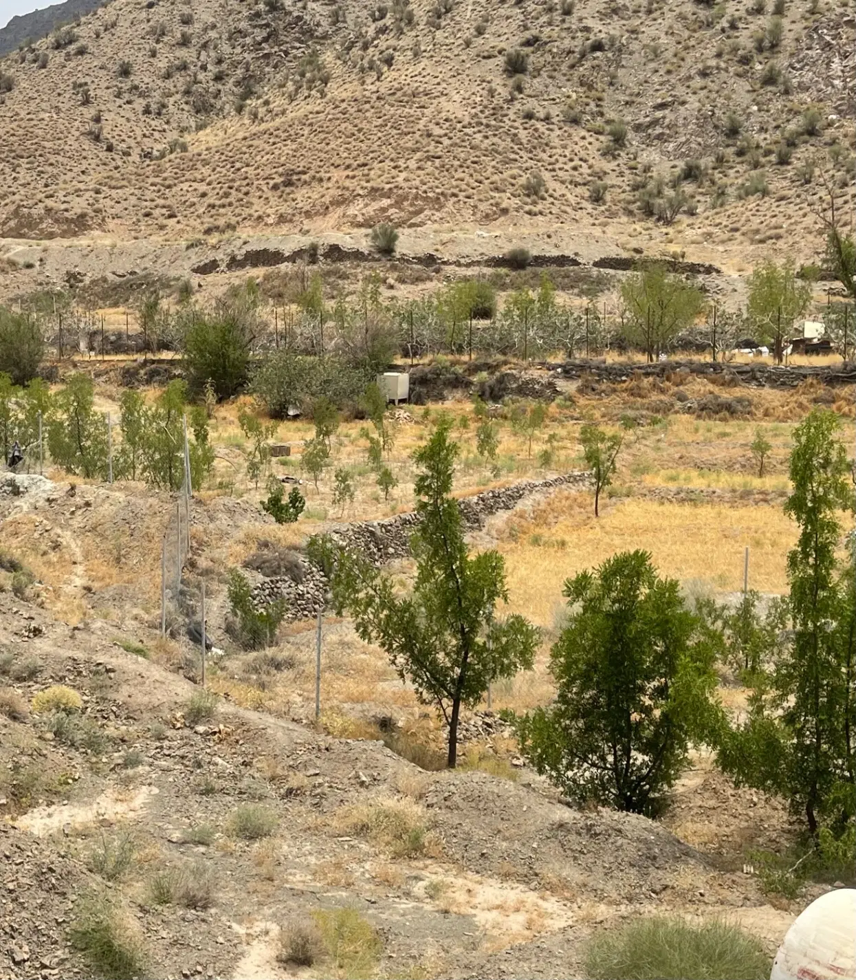زمین رچ حاشیه جاده تگ درویش