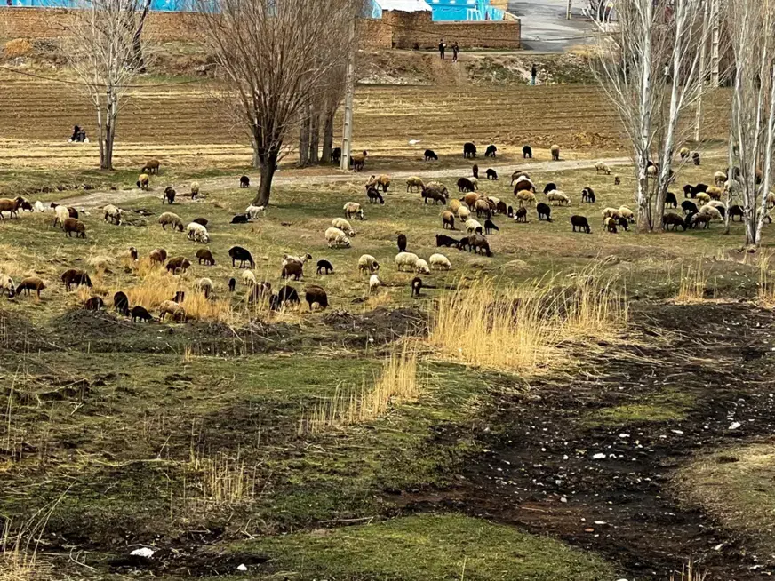 زمین ویلایی بان گلشن آباد محدوداا گوار عقیل آباد