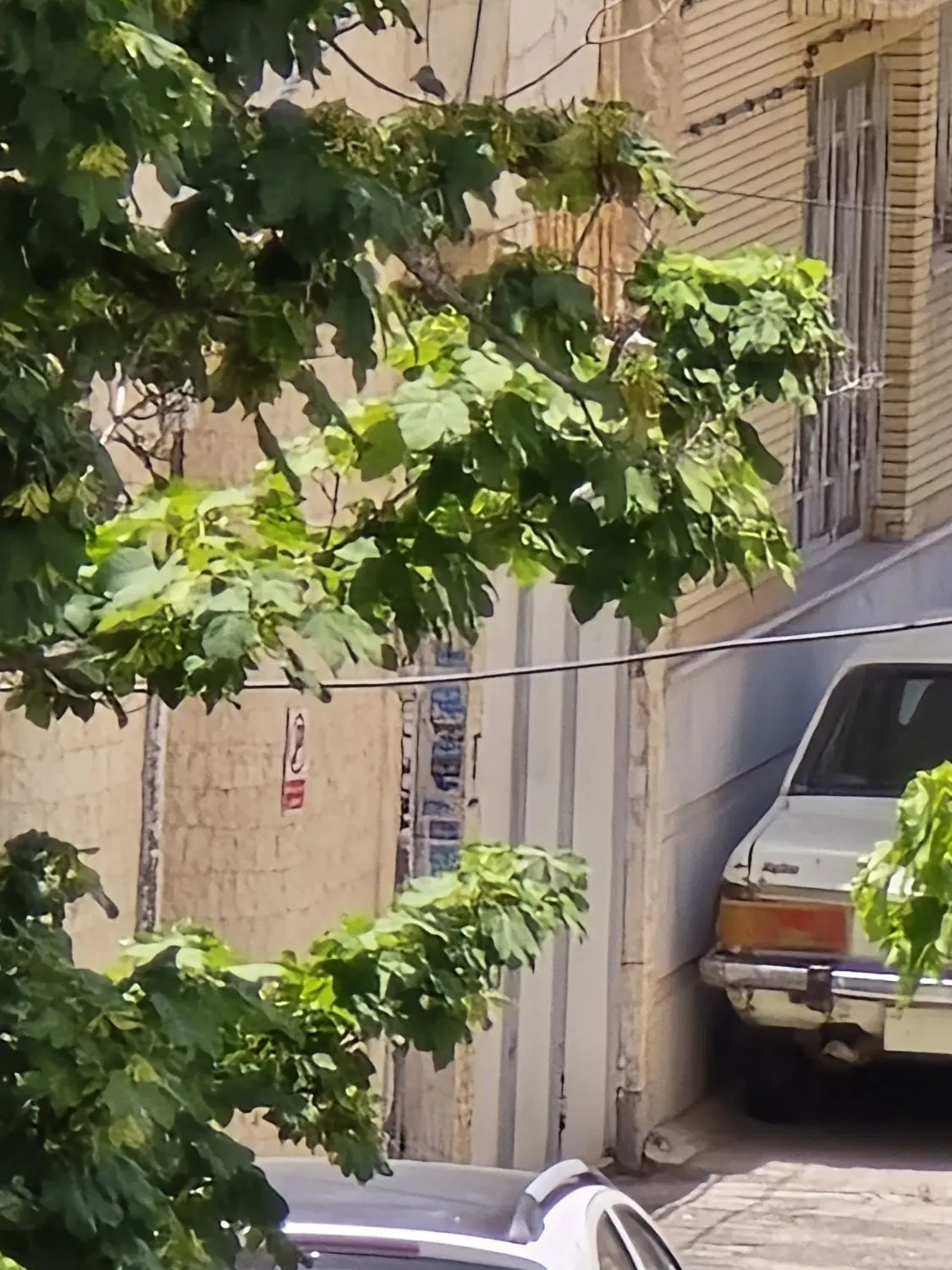خانه ویلایی شهرک بنفشه کوی نفت توضیحات بخونید