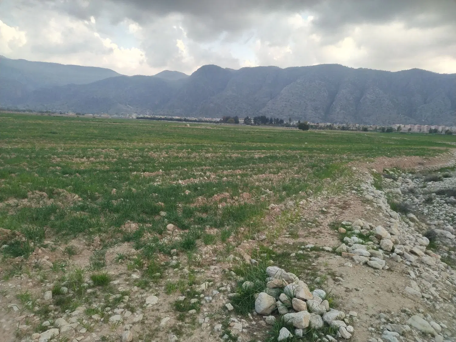 فروش زمین