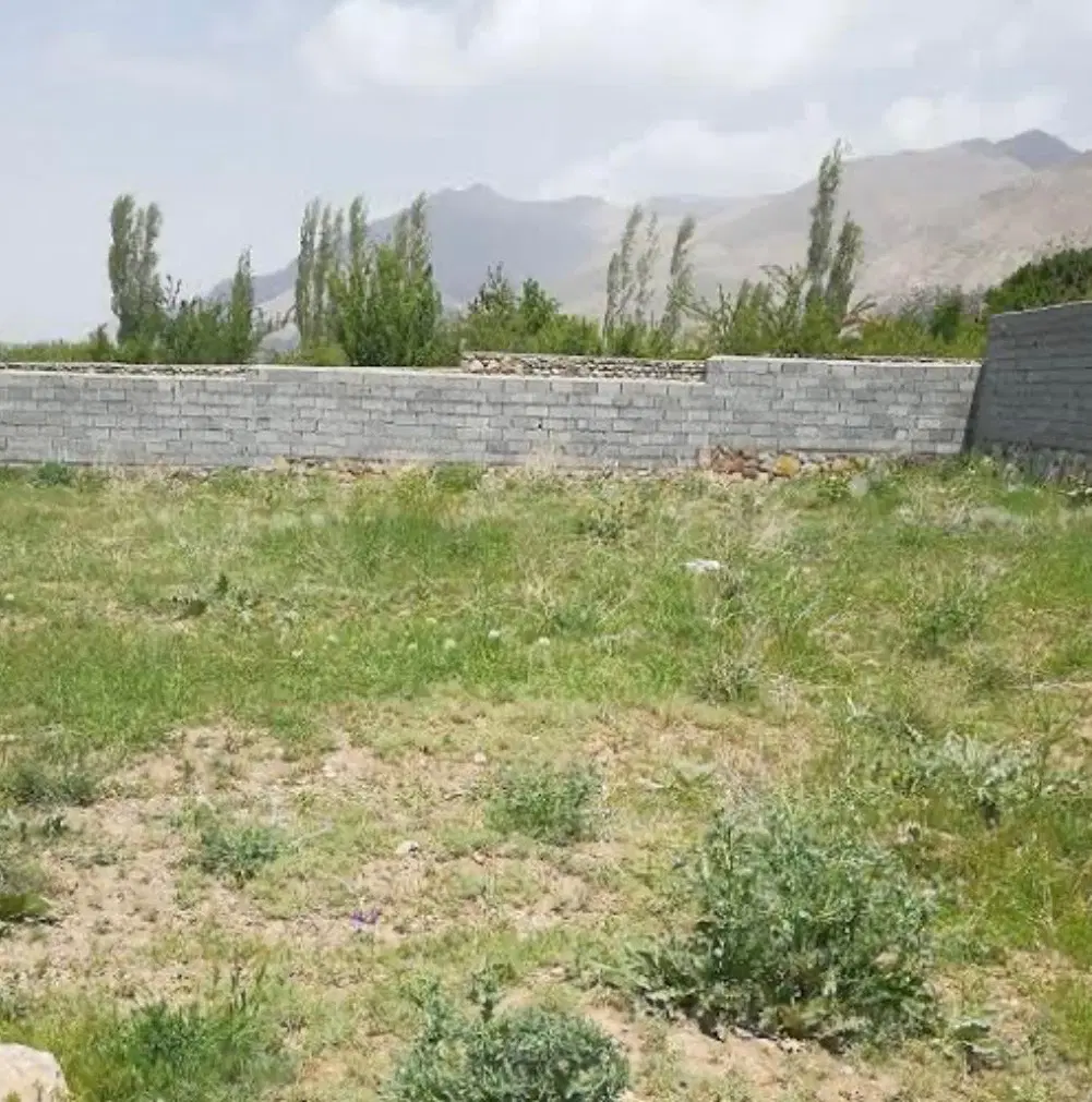 زمین