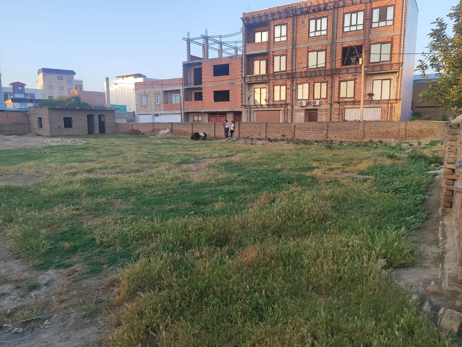 زمین تجاری  جنب سراه طعنه