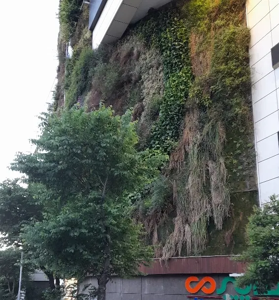 پذیرش همخونه