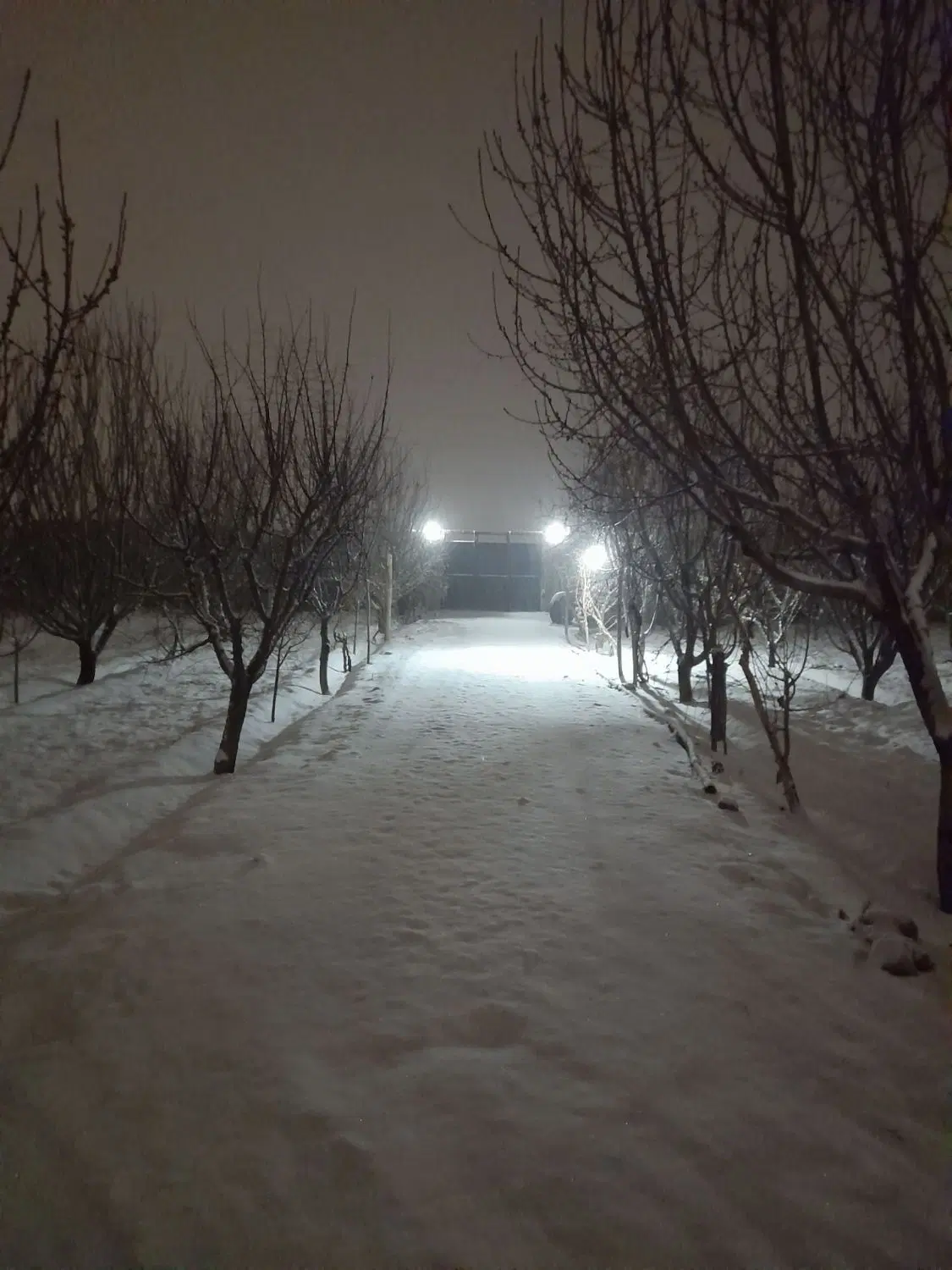 باغ کوچه باغ مینو