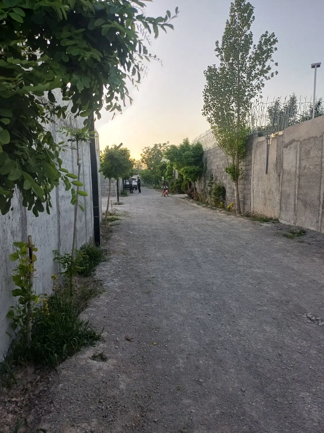باغچه۸۹۰ متری شهریار