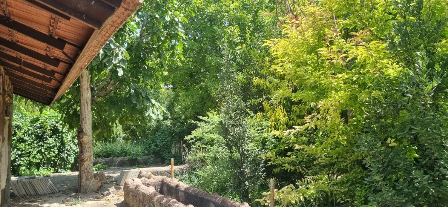 باغ در شهر زیار حدود ۱۵۰۰ متر