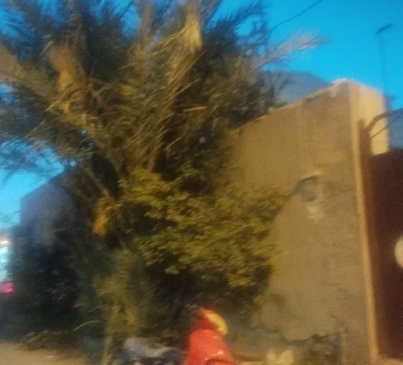 ویلایی قدیمی بندرگاه