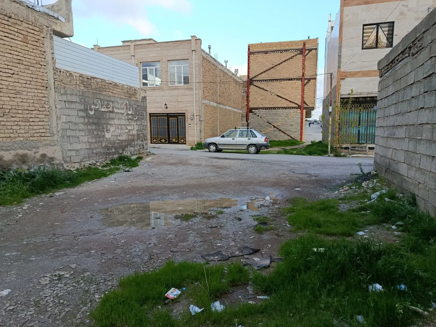 زمین جنوبی تک برگ سند