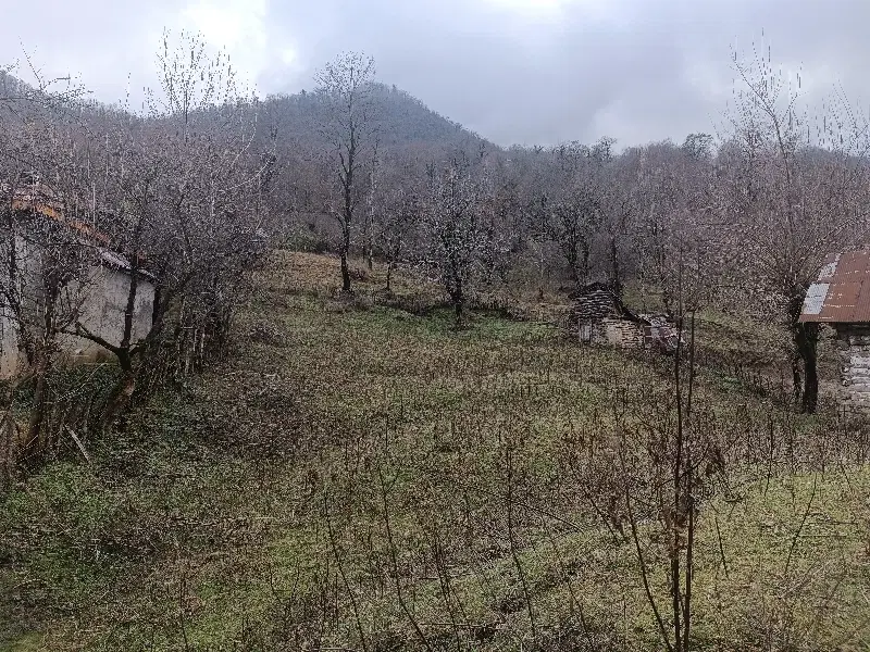 زمین مسکونی