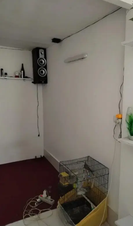 خانم هستم همخونه