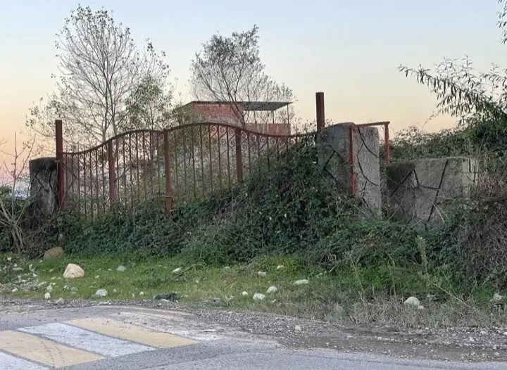 زمین با سند تک برگ چمستان