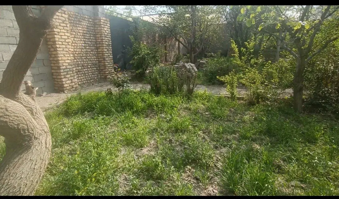 باغ میوه ۴۰۰ متری
