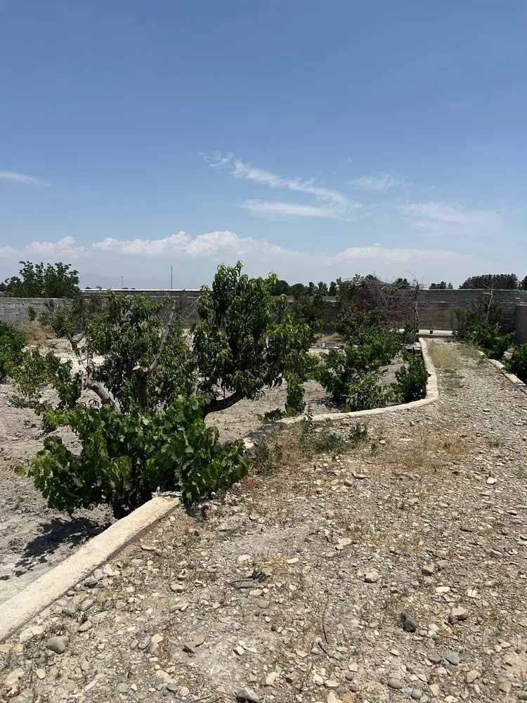 باغچه با متراژ ۲۵۰ متر(مدارک تکمیل)