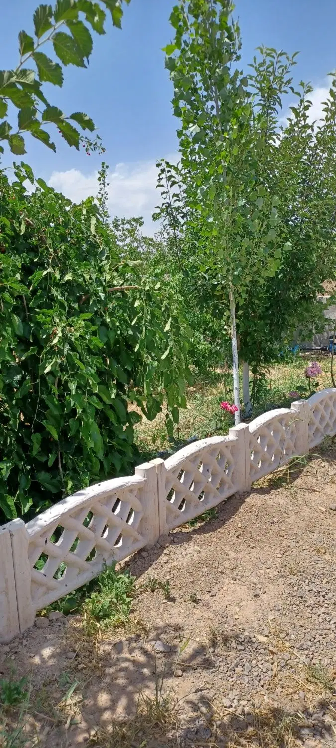 باغ ویلا
