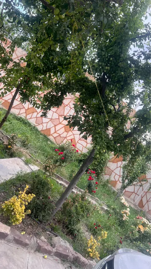 باغ ۱۰۷۰ متری نوبهار
