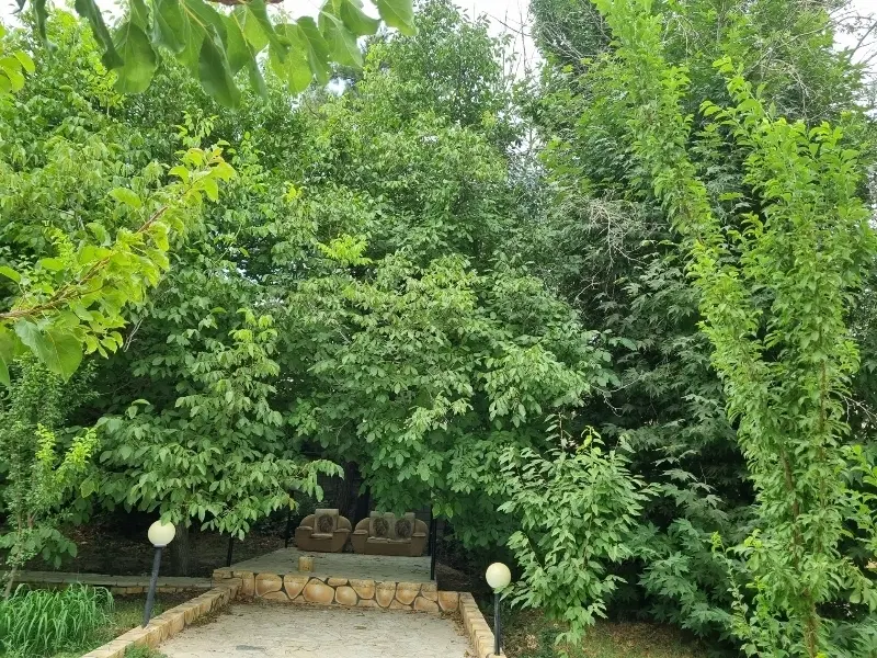 باغ ویلا منطقه هماشهر