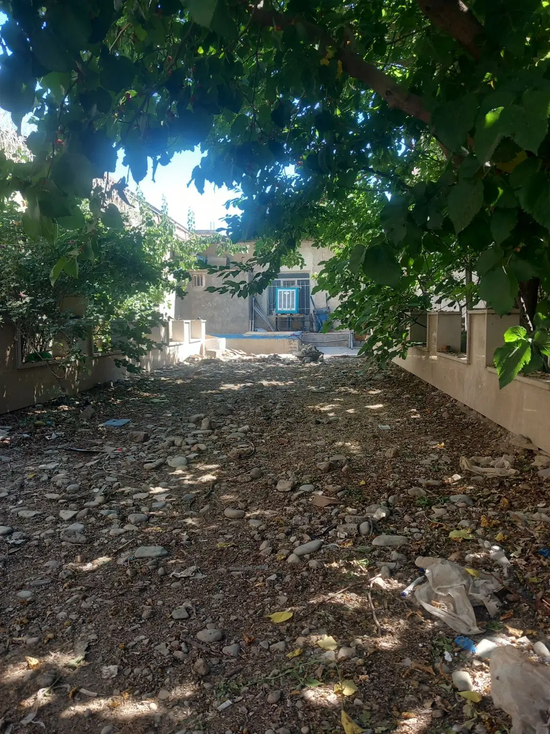 ۲۱۹ متر کبودگنبد