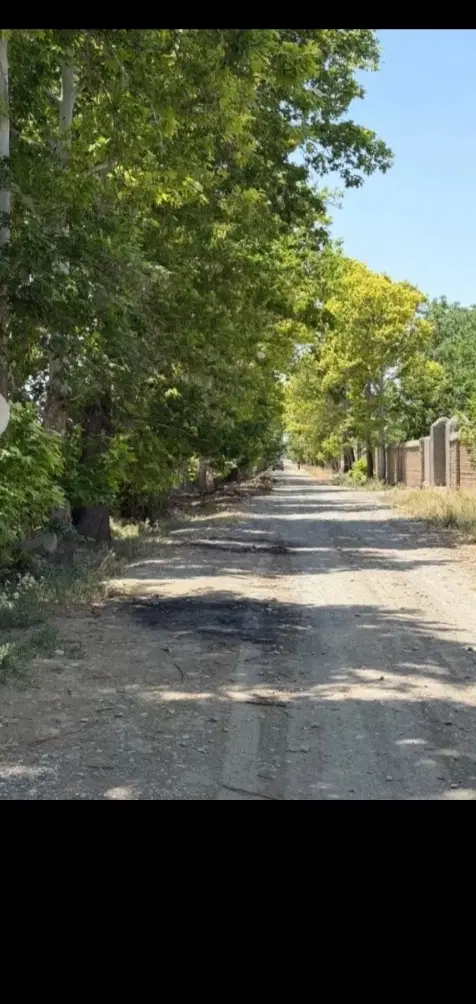 زمین