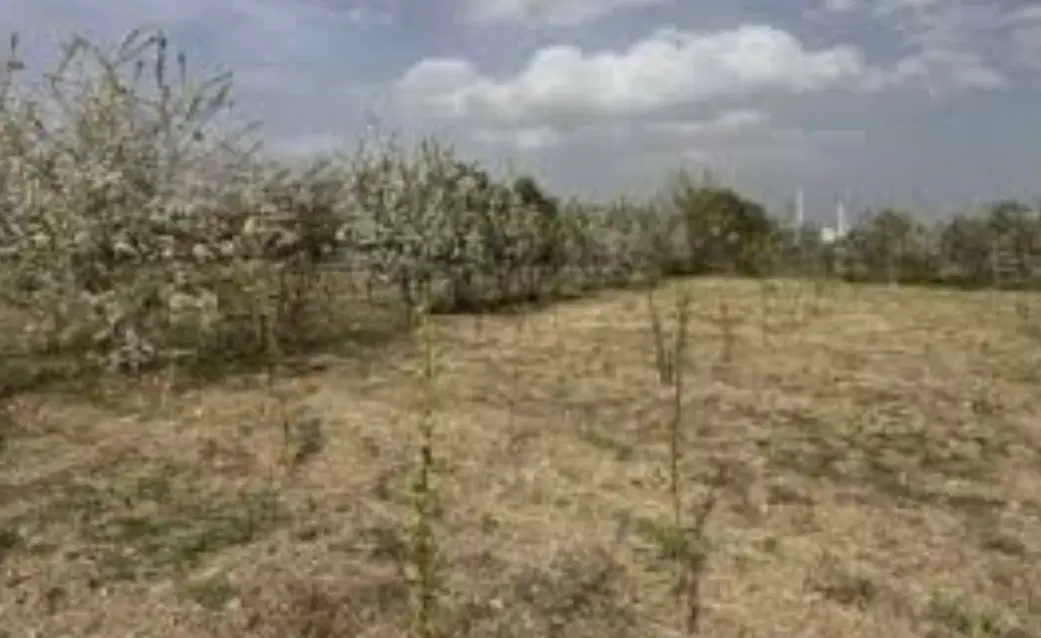 زمین کشاورزی نزدیک ساخت و ساز