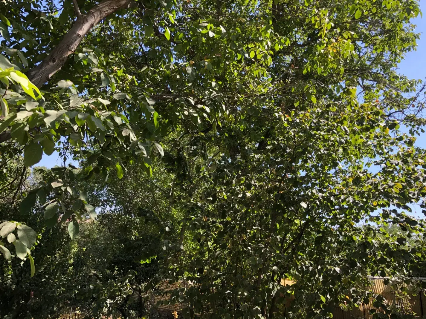 ویلای قدیمی در کردان کوهسار