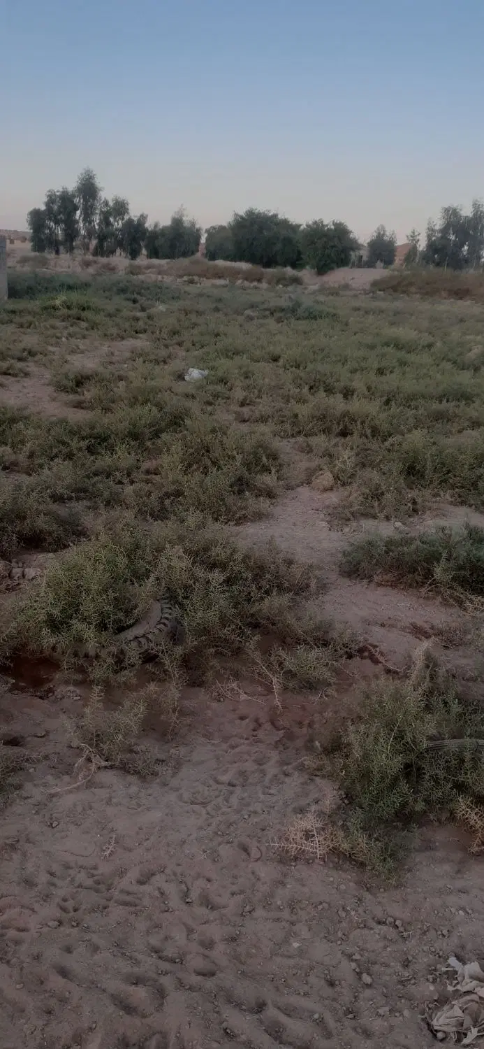 زمین ویلا