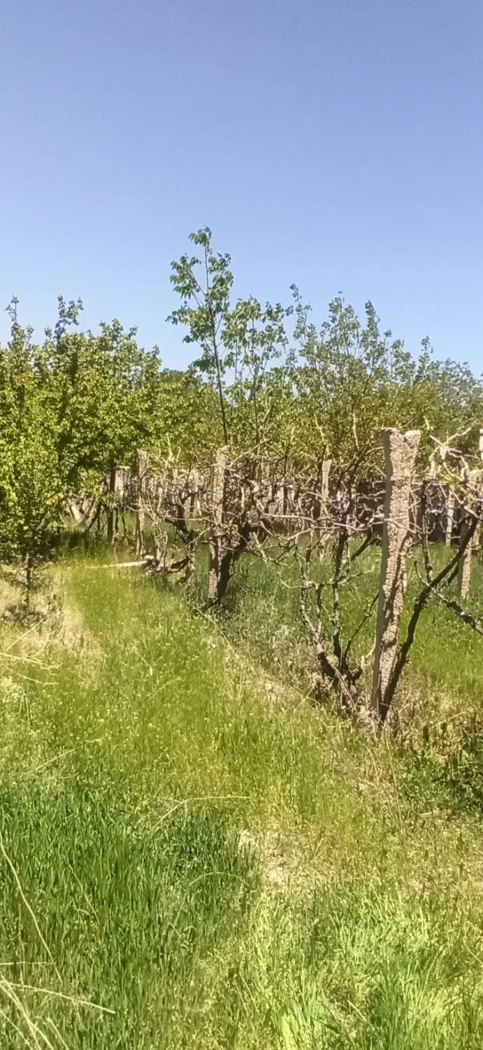 خیابان ارس ایدنلوجاده امامزاده