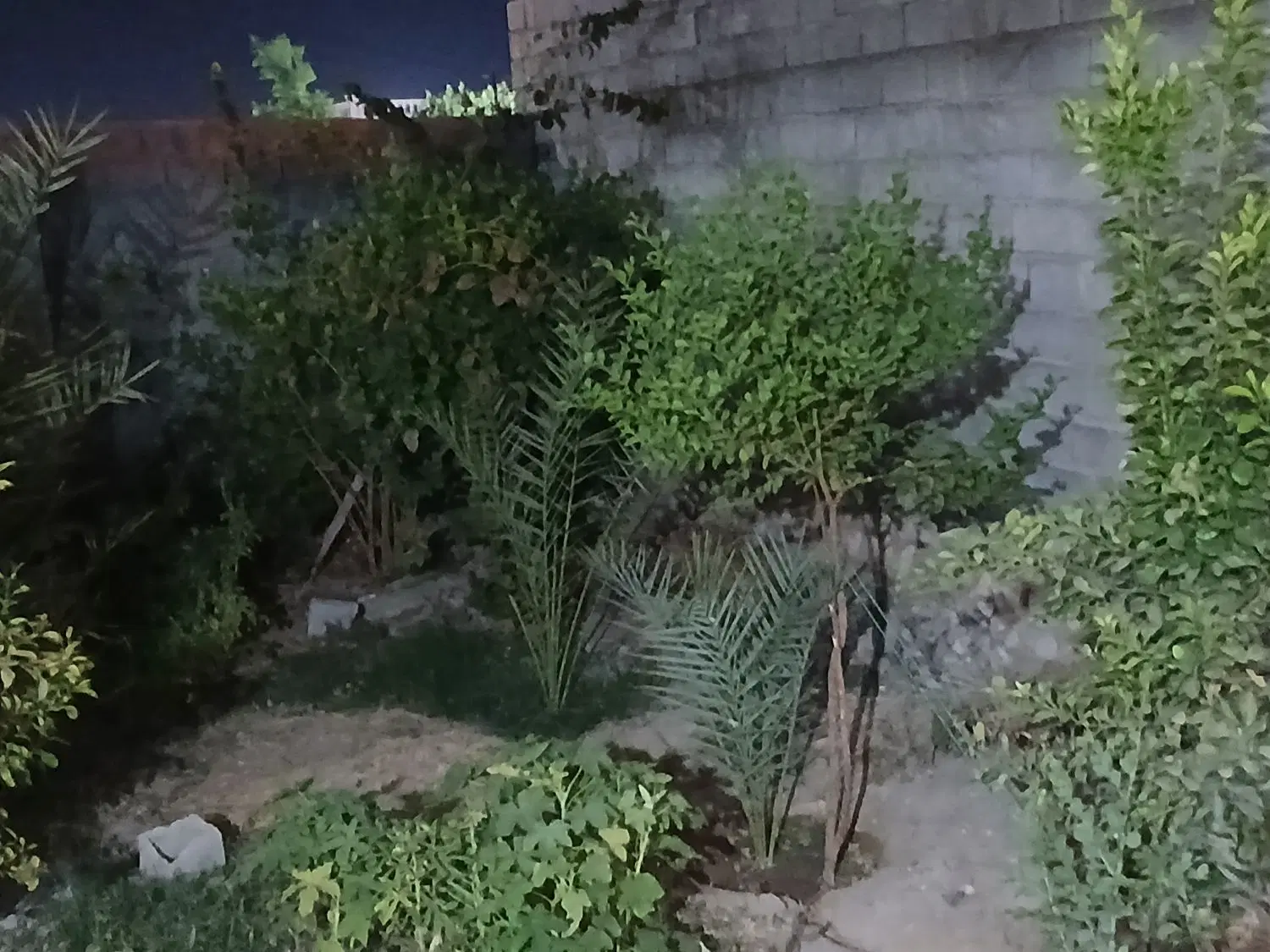 دو قطعه زمین در گورک کله بندی