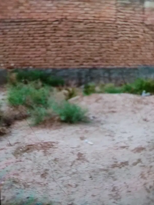۱۰ قصب زمین مسکونی بر کوچه ۴۲شرف اباد