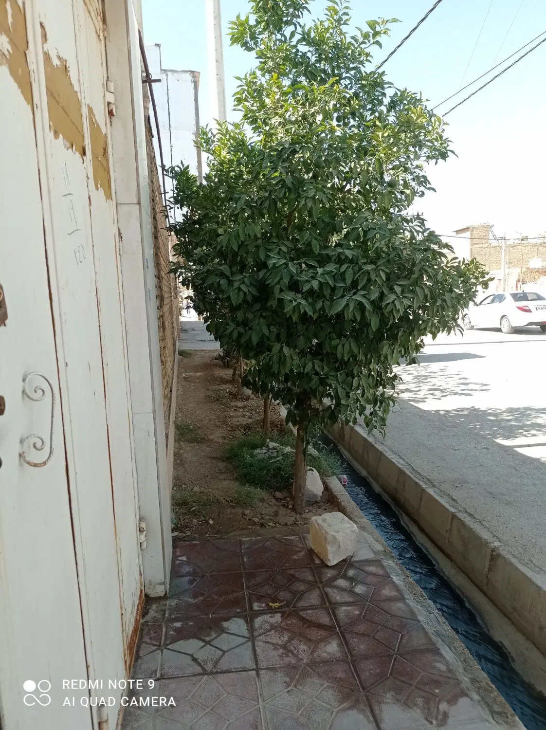 فروش زمین،گچی