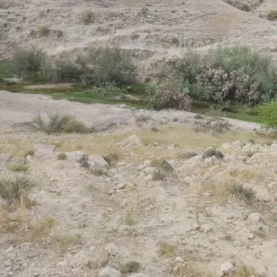 فاز دو چمران