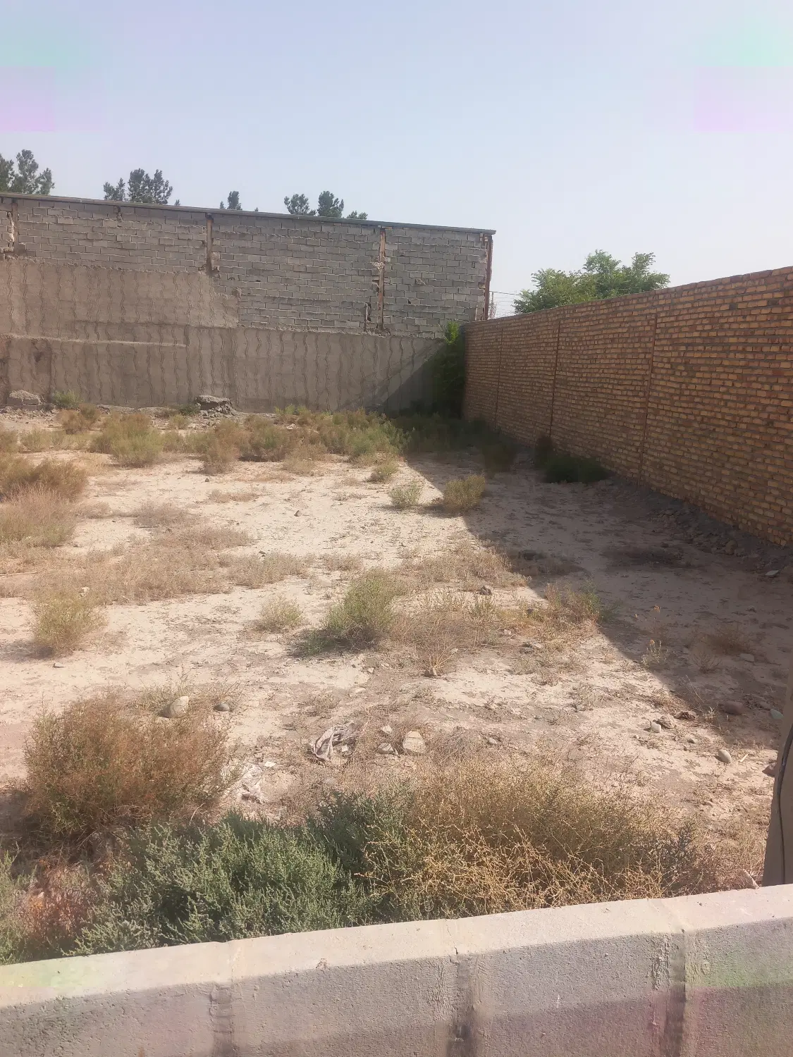فروش یک قطعه زمین کوی راشته