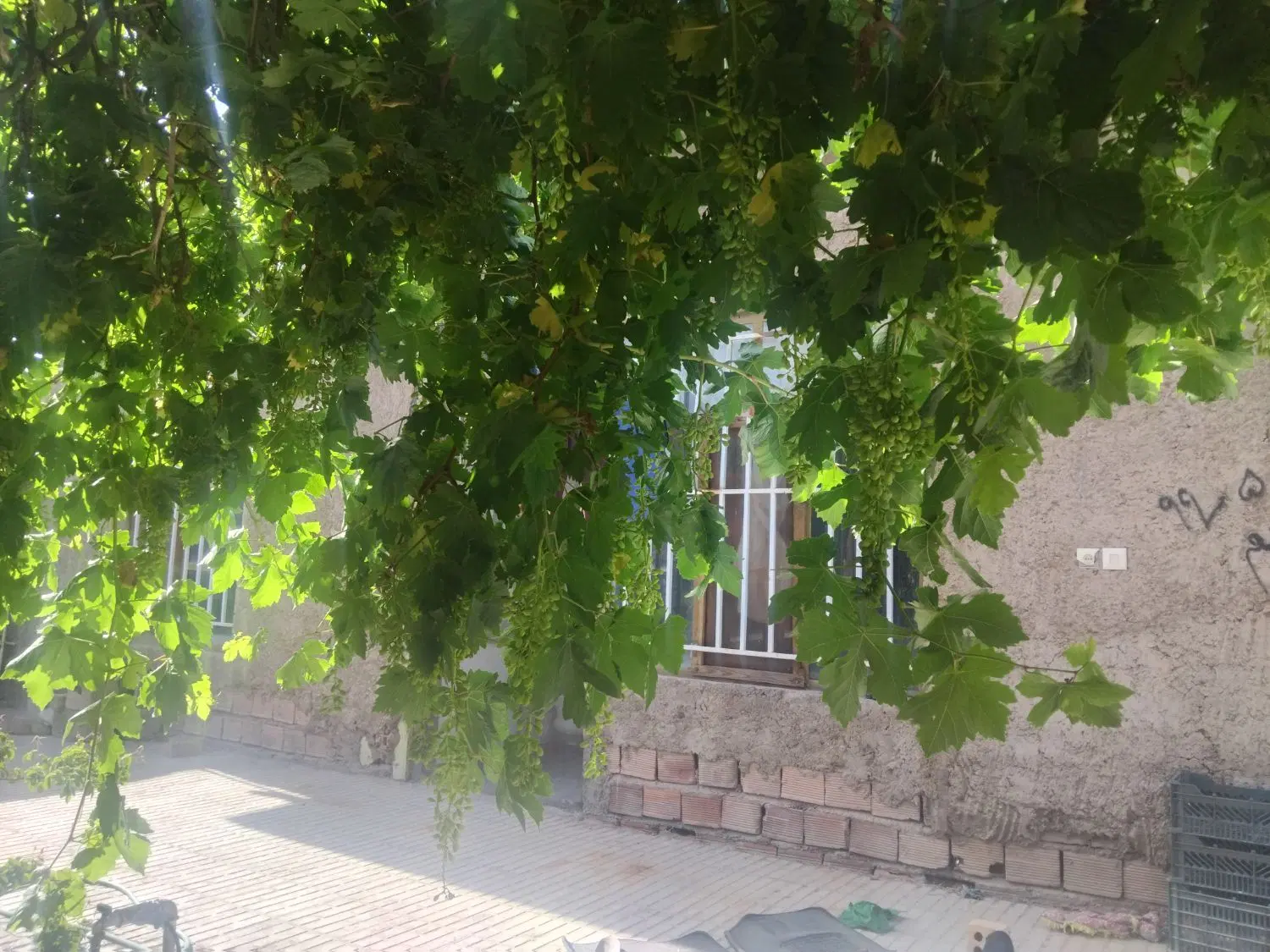 منزل فروشی