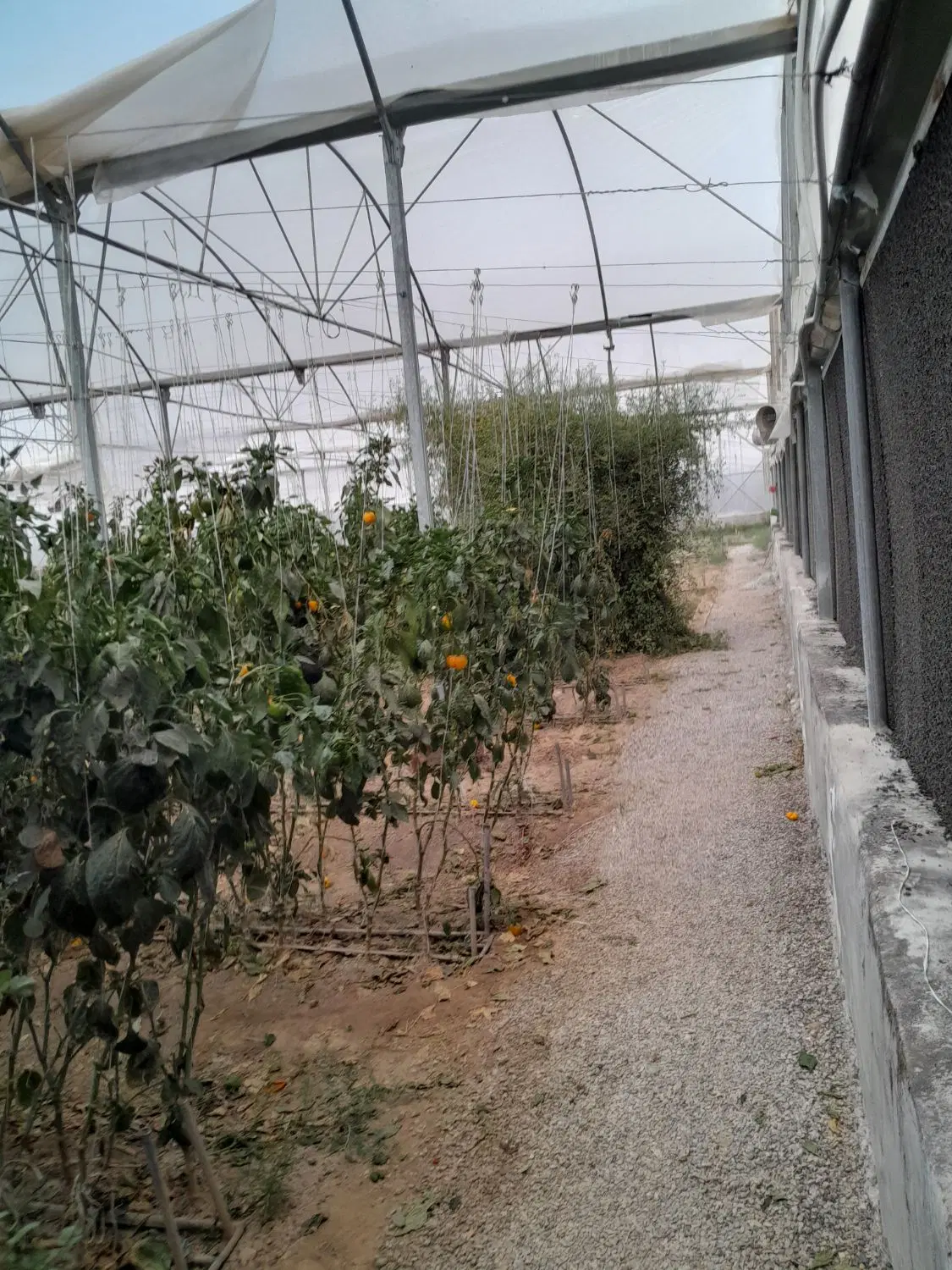 فروش اجاره