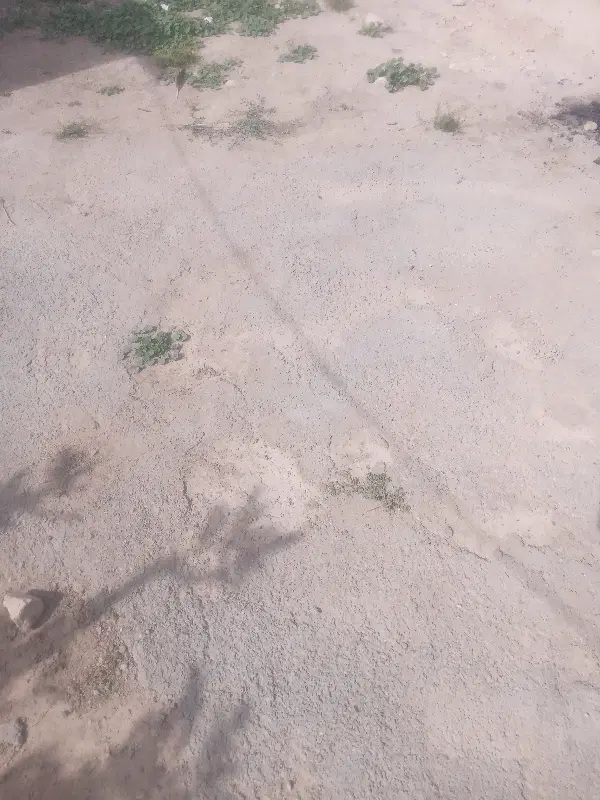 زمین مسکونی ده پهن